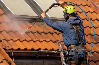 Démoussage et hydrofuge de toiture à Chouppes